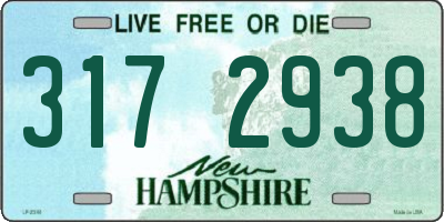 NH license plate 3172938