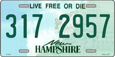 NH license plate 3172957