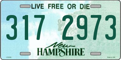 NH license plate 3172973