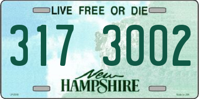 NH license plate 3173002