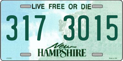 NH license plate 3173015