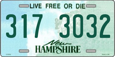 NH license plate 3173032