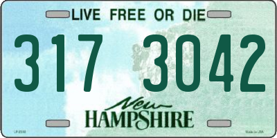 NH license plate 3173042