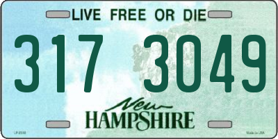 NH license plate 3173049