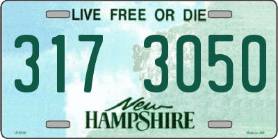 NH license plate 3173050