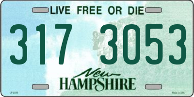 NH license plate 3173053