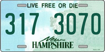 NH license plate 3173070