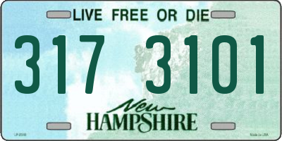 NH license plate 3173101
