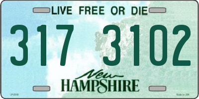 NH license plate 3173102