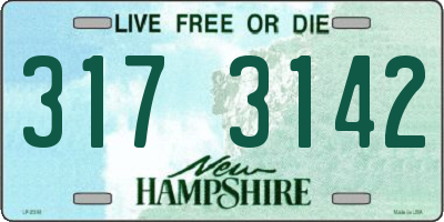 NH license plate 3173142