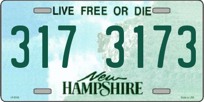 NH license plate 3173173