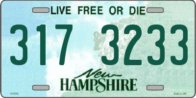NH license plate 3173233