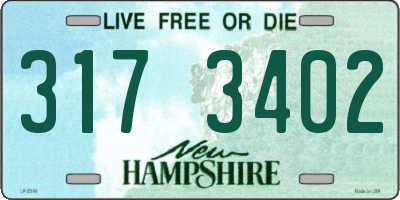 NH license plate 3173402