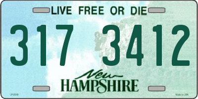 NH license plate 3173412
