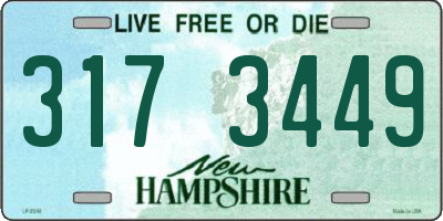 NH license plate 3173449