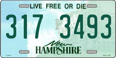 NH license plate 3173493