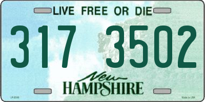 NH license plate 3173502