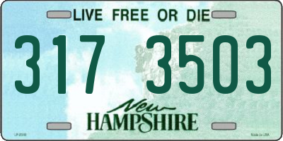 NH license plate 3173503