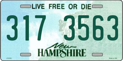 NH license plate 3173563