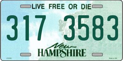NH license plate 3173583