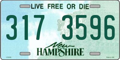 NH license plate 3173596