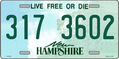 NH license plate 3173602