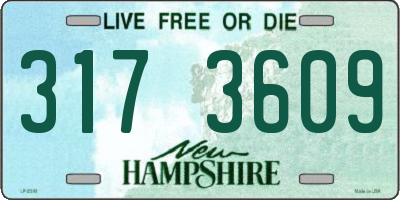 NH license plate 3173609
