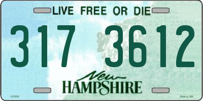 NH license plate 3173612