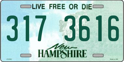 NH license plate 3173616