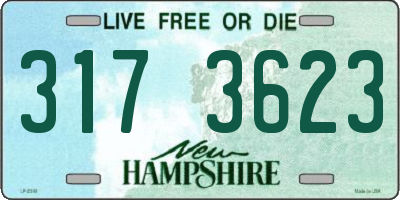NH license plate 3173623