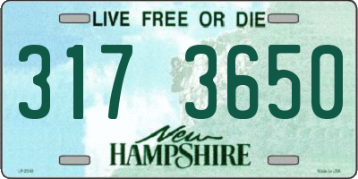 NH license plate 3173650