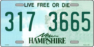 NH license plate 3173665