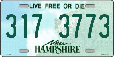 NH license plate 3173773
