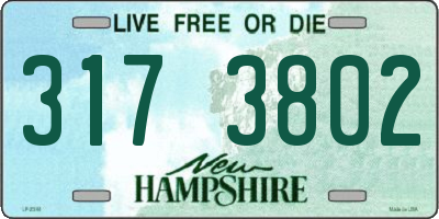 NH license plate 3173802