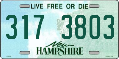 NH license plate 3173803