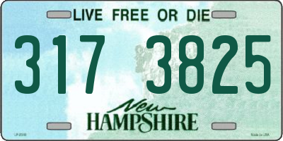 NH license plate 3173825