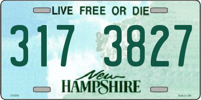 NH license plate 3173827