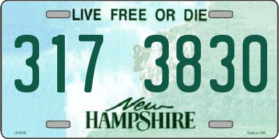 NH license plate 3173830
