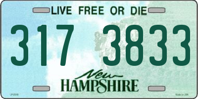 NH license plate 3173833
