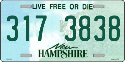 NH license plate 3173838