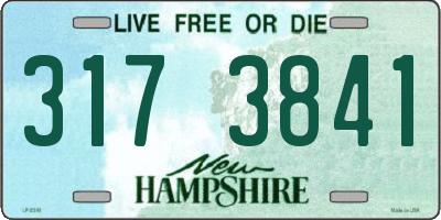NH license plate 3173841