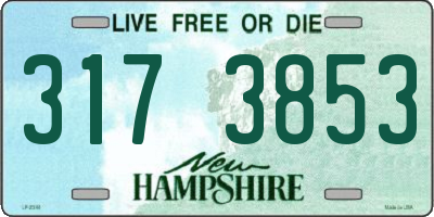 NH license plate 3173853