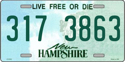 NH license plate 3173863