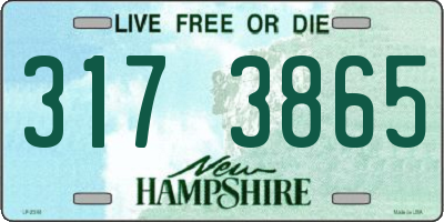 NH license plate 3173865