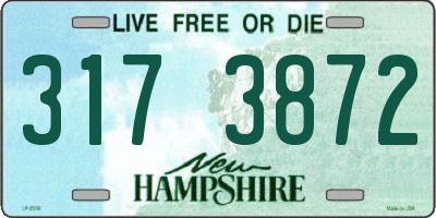 NH license plate 3173872