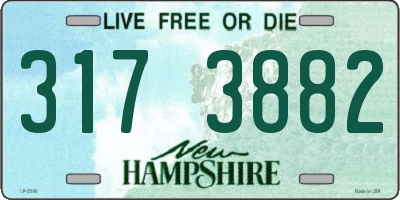 NH license plate 3173882