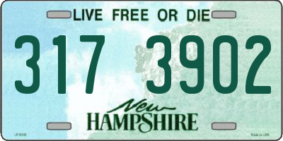 NH license plate 3173902