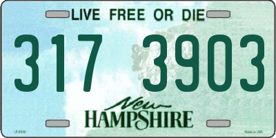 NH license plate 3173903