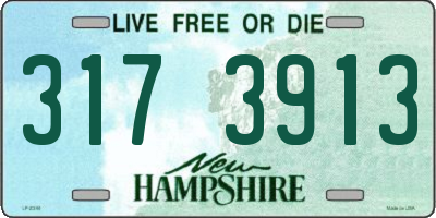 NH license plate 3173913