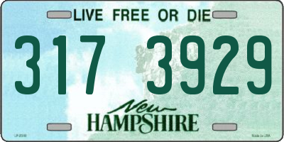 NH license plate 3173929